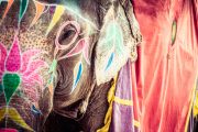 shutterstock_145200919