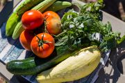 shutterstock_215122087