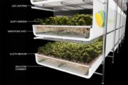 AeroFarmsGrowTech