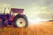 Video: Wie eine App die Landwirtschaft revolutioniert shutterstock_109379861