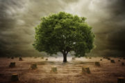 shutterstock_135443573