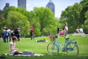 Funding methods for US parks shutterstock_215622625