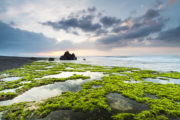 shutterstock_310539779