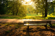 shutterstock_319133792