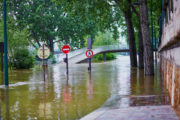 shutterstock_430996282