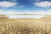 shutterstock_96114200