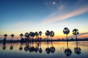 shutterstock_222674155
