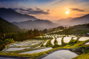 shutterstock_254957143