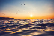 shutterstock_300442343
