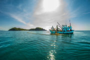 shutterstock_306583520
