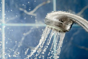 shutterstock_320559686