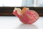 3D printing of human tissue soon applied in Australia shutterstock_372477139