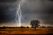 shutterstock_151812536
