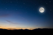 shutterstock_128504084
