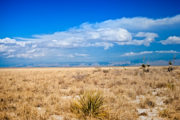 shutterstock_132027080