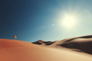 shutterstock_157242209