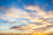 shutterstock_307123343