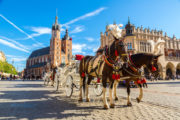 shutterstock_310614122