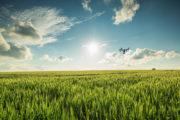 shutterstock_436505053