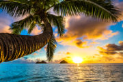 shutterstock_557636278