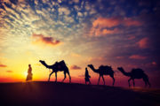 shutterstock_228156601