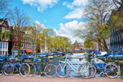 shutterstock_455330083