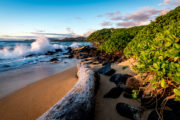 shutterstock_525720976