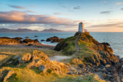 shutterstock_601130525