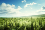 shutterstock_349623239