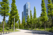 shutterstock_309126485