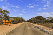 shutterstock_400459426