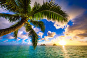shutterstock_557636245